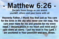 Look at the Birds | Matthew 6:26 – Image 2