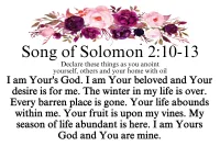Your Springtime Has Come | Song of Solomon 2:10–13 – Image 2