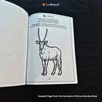 Animals of Africa Activity Book – Bild 2