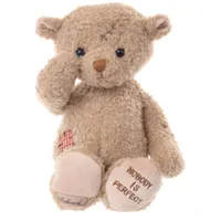 Nobodys Perfect Teddy  – Image 1