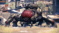 Used Ps4 Destiny – Image 3