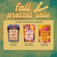 Stellar Pretzel Sale - JNS Fundraiser – Image 1