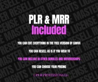 Email Marketing Newsletter Banners-CEO Mindset  – Image 5