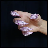 Pretty petals – Image 2