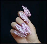 Pretty petals – Image 1