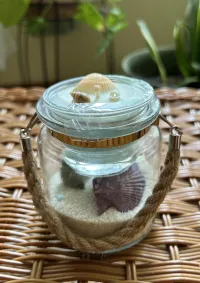 Shoreline Candles – Sea Shell 2