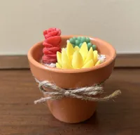 Desert Garden Candles – Image 1