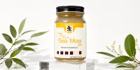Mango Organic Wildcraft Sea Moss – Image 1