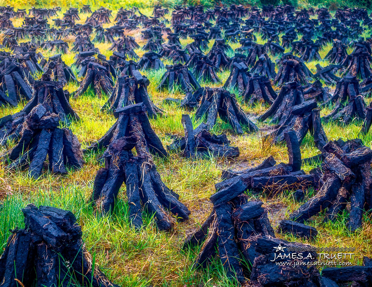 Footed Turf in the Bog – Image 2