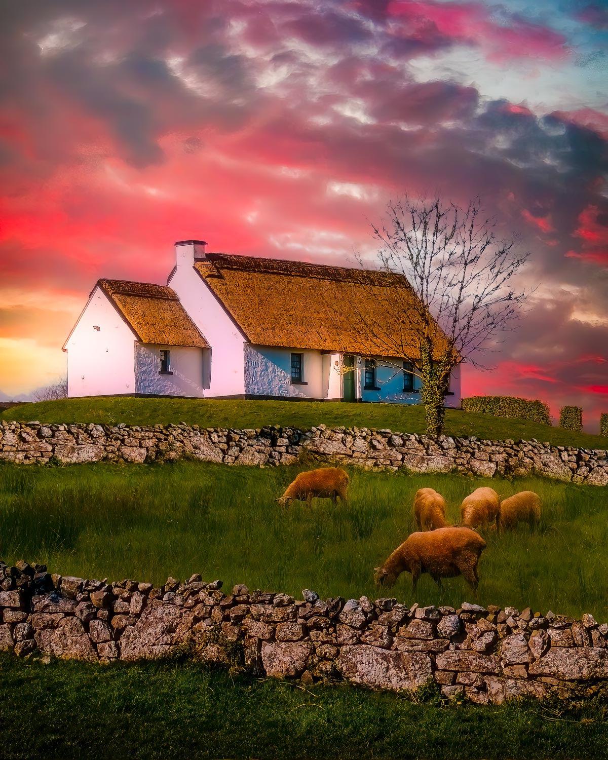 Irish Thatched Cottage on a Hill – Image 2