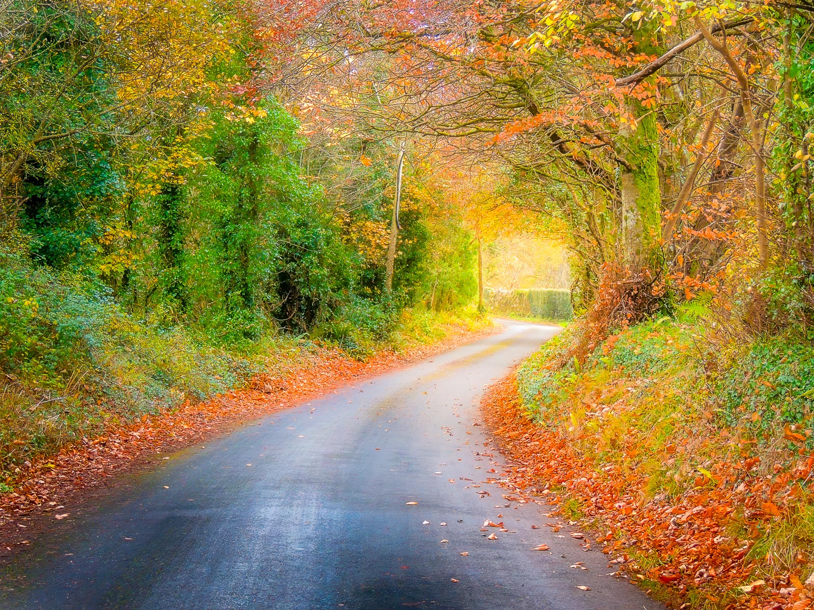 Autumn County Clare Boreen – Image 2