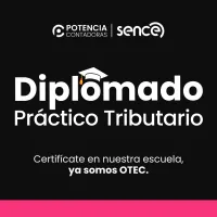Diplomado Práctico Tributario 2026 – Imagen 1