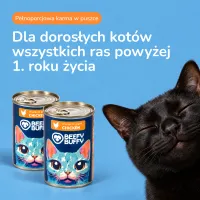 BEEFY BUFFY Zestaw Kawałki w sosie | Kurczak | dla dorosłych kotów | 415g – Image 10