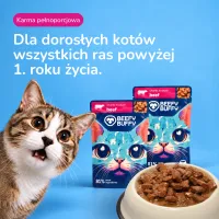 BEEFY BUFFY Zestaw Kawałki w sosie | Wołowina | dla dorosłych kotów | 85 g – Image 7