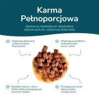 BEEFY BUFFY Zestaw Kawałki w sosie | Ryba | dla dorosłych kotów | 85 g – Image 6