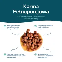 BEEFY BUFFY Zestaw Kawałki w sosie | Drób | dla dorosłych kotów | 85 g – Image 9