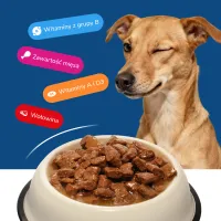 BEEFY BUFFY Kawałki w sosie z wołowiną | dla dorosłych psów | 415 g – Image 4