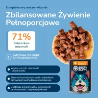 BEEFY BUFFY Zestaw Kawałki w sosie z kurczakiem | dla dorosłych psów | 415g – Image 7