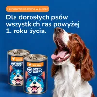 BEEFY BUFFY Zestaw Kawałki w sosie z kurczakiem | dla dorosłych psów | 415g – Image 9