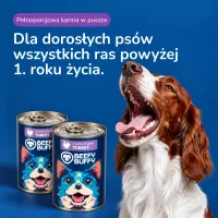 BEEFY BUFFY Zestaw Kawałki w sosie z indykiem | dla dorosłych psów | 415g – Image 7
