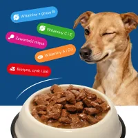BEEFY BUFFY Zestaw Kawałki w sosie z indykiem | dla dorosłych psów | 415g – Image 5