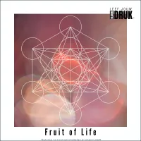 FRUIT OF LIFE – Afbeelding 1