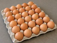 Free Range Chicken Eggs - Flat (2.5 dozen) – Image 1