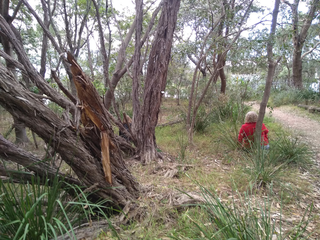 Ephemeral Wonderings & Wanderings – Image 5