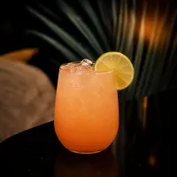 Paloma – Image 1
