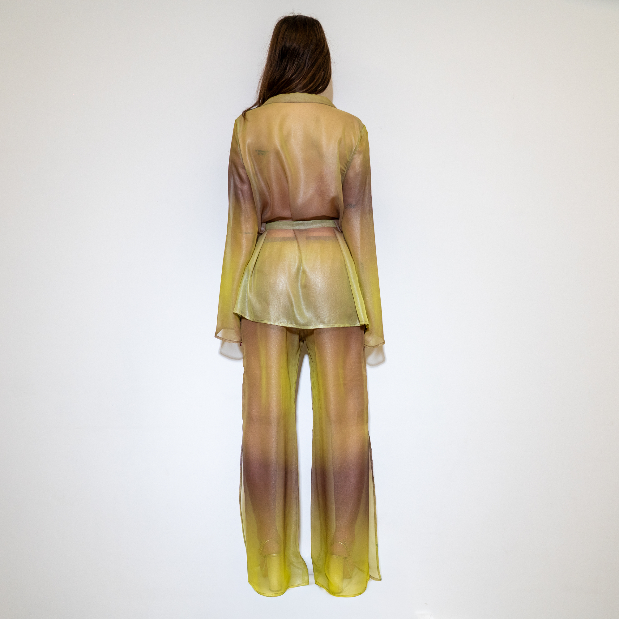 ANDRA TERRA LUCENS  – Image 3