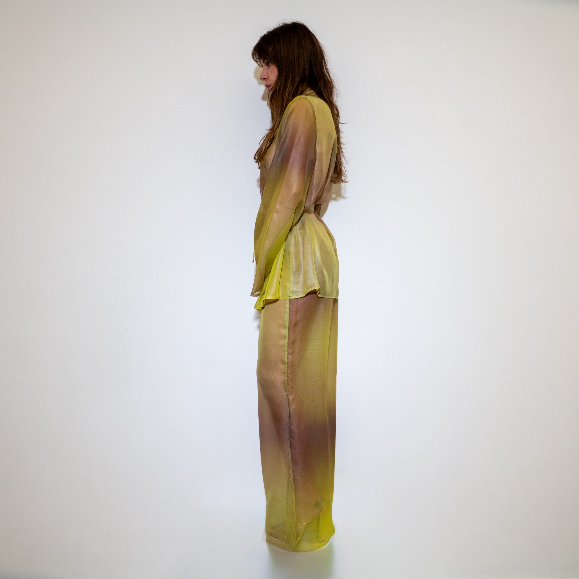 ANDRA TERRA LUCENS  – Image 2