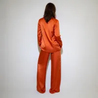 ANDRA SOLARIS – Image 3