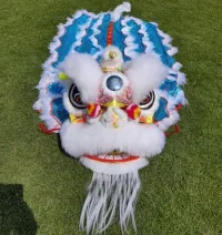 Kids Lion Dance Foam Full Costume – Blink Eyes – Chinese Lion Dance Toy for Training, Performance & Cultural Events – Image 11