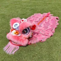 Kids Lion Dance Foam Full Costume – Blink Eyes – Chinese Lion Dance Toy for Training, Performance & Cultural Events – Image 12