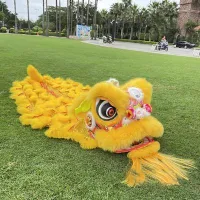 Kids Lion Dance Foam Full Costume – Blink Eyes – Chinese Lion Dance Toy for Training, Performance & Cultural Events – Image 9
