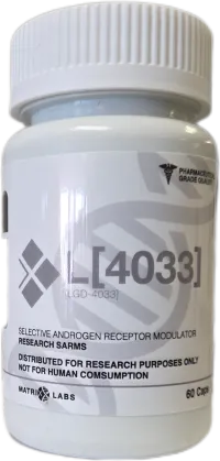 Matrix Labs L[4033] – Image 1
