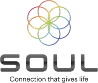 🌐 SOUL ADVANCE – Image 1