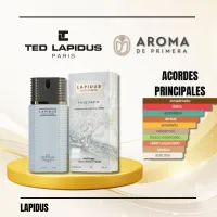 LAPIDUS (MASCULINO) – Imagen 1
