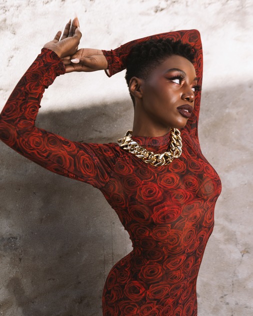 Chapter V — The Grace Jones Project — No. 03 – Image 1