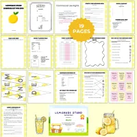 PLR Lemonade Stand Business – Image 2