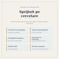 Despărțire Organizată - Decența de a opri o relație – Image 4