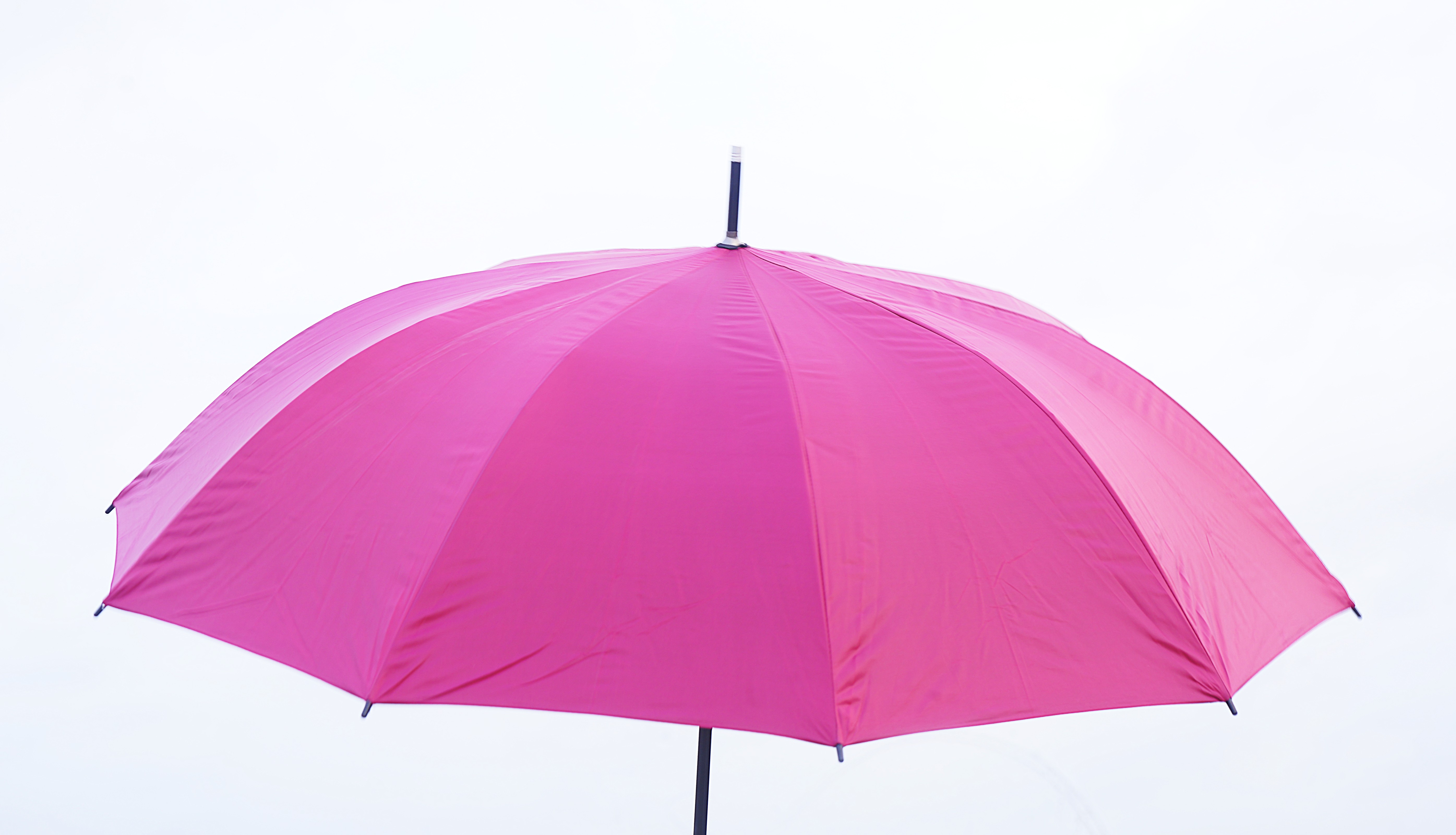 Silver Tip Curve Handle Umbrellas – Image 6