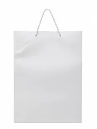 LARGE MATTE FINISHED GIFT BAGS – Image 10