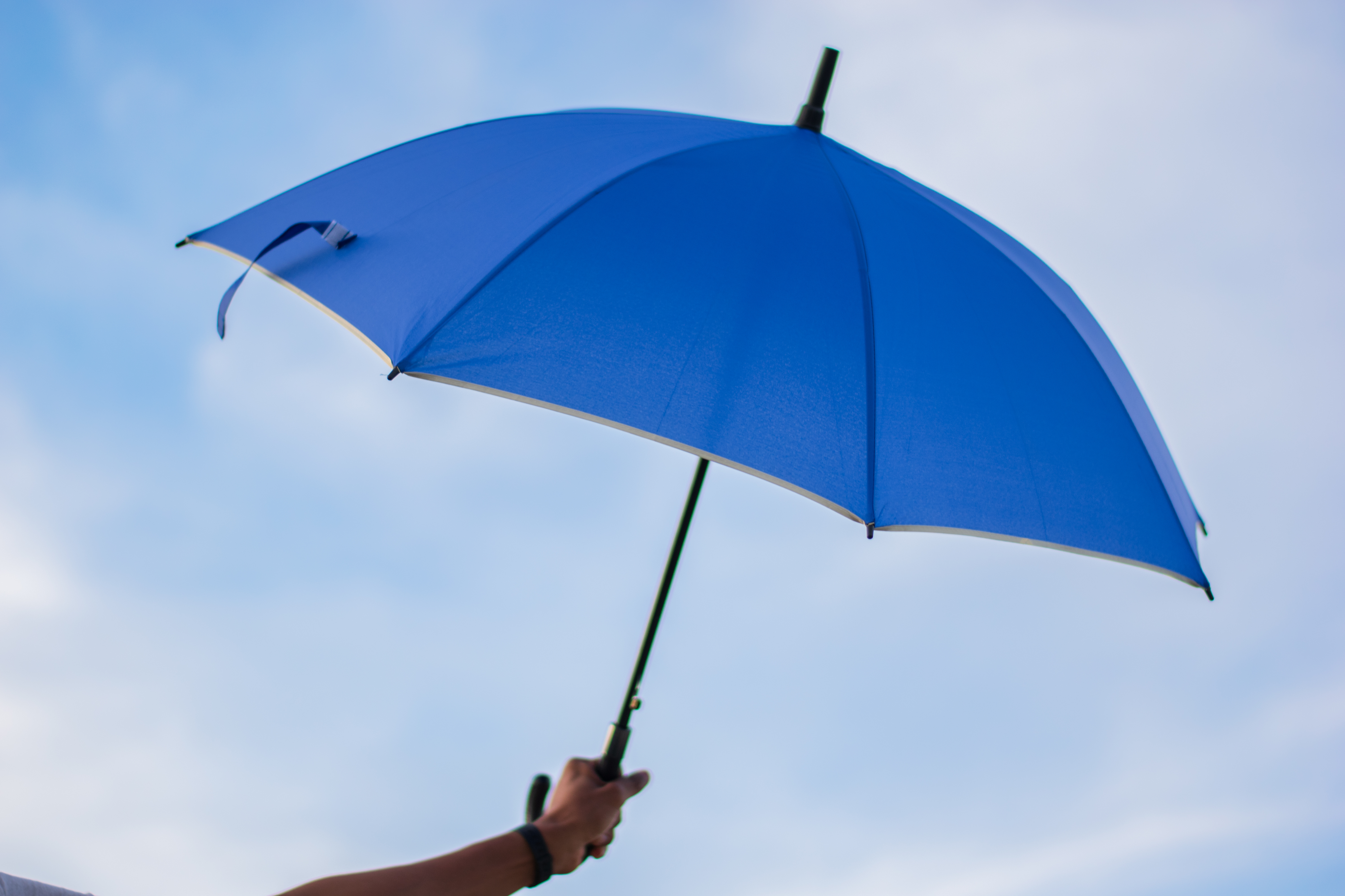 Curve Handle Umbrellas – Image 4