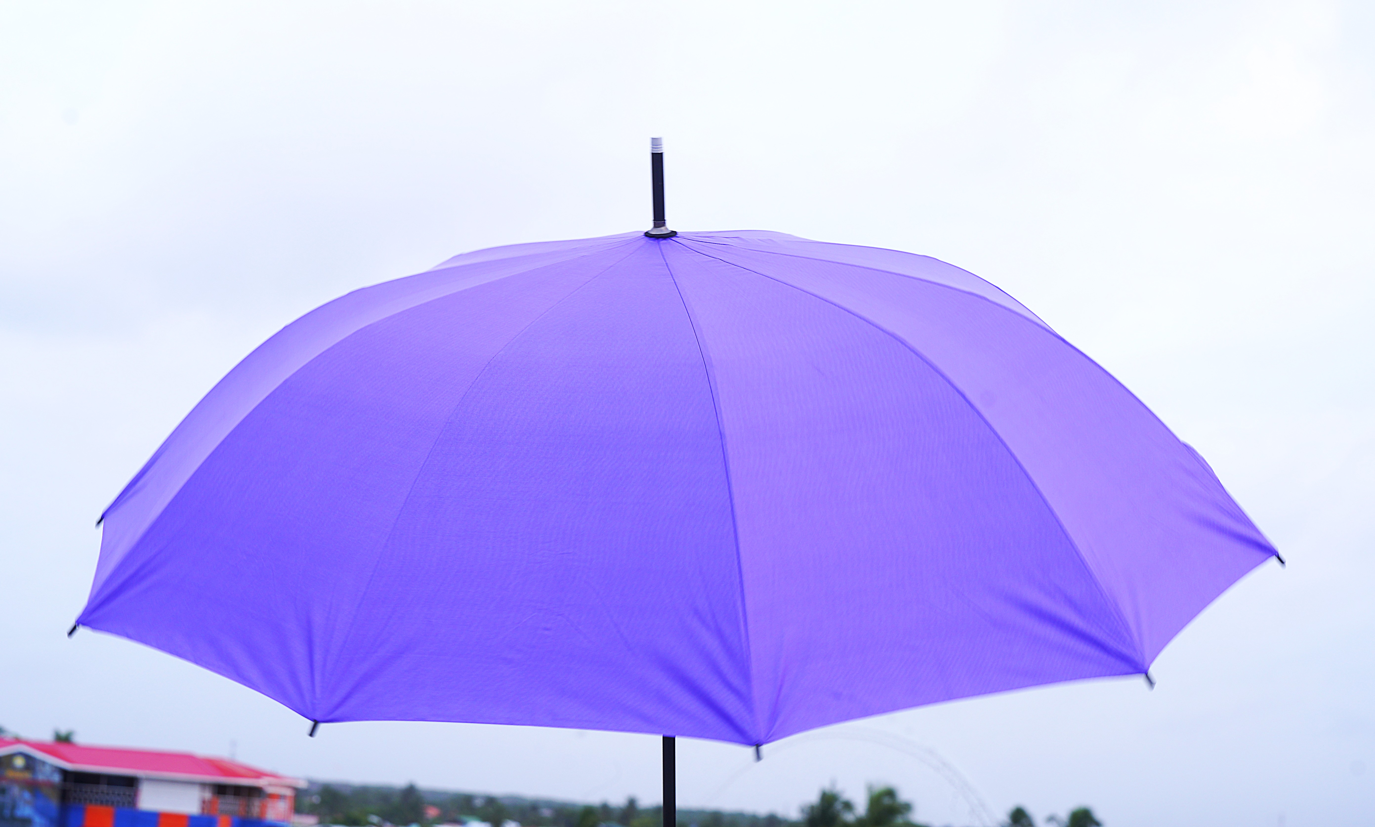 Silver Tip Curve Handle Umbrellas – Image 7