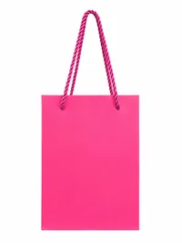 MINI MATTE FINISH GIFT BAGS – Image 6