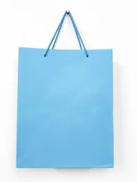 SMALL MATTE FINISH GIFT BAGS – Image 6