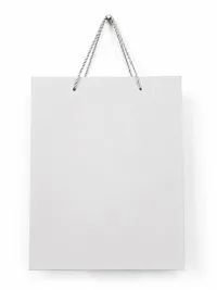 SMALL MATTE FINISH GIFT BAGS – Image 10