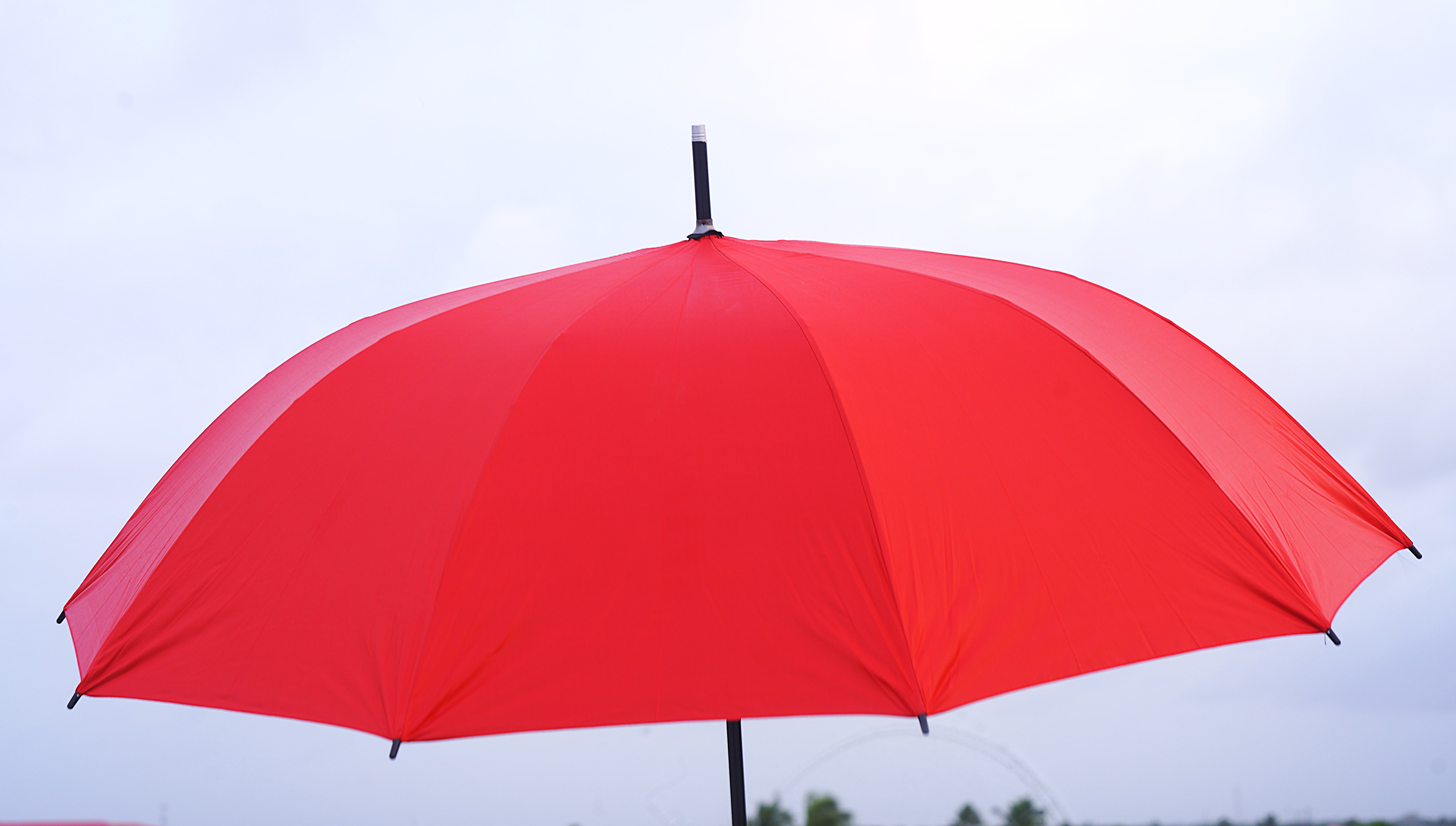 Silver Tip Curve Handle Umbrellas – Image 8