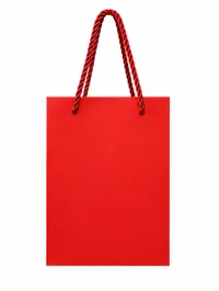 MINI MATTE FINISH GIFT BAGS – Image 7